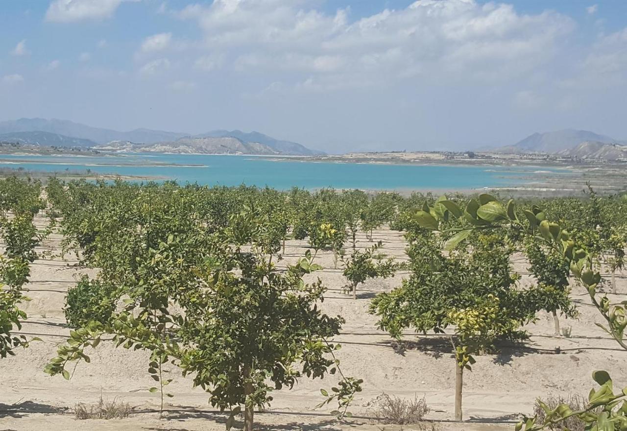 Very Nice Apartment With See Views Dehesa de Campoamor  Exterior photo